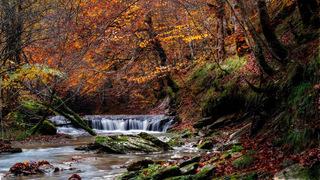 La Selva de Irati: Un paraíso natural en Navarra